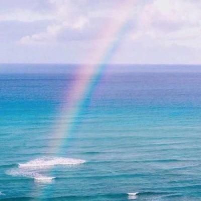 上下分的捕鱼app下载手机版