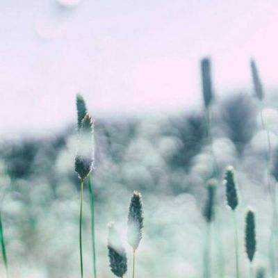 BOB·体育APP下载