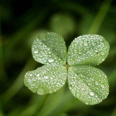 bob·体育综合appapp下载